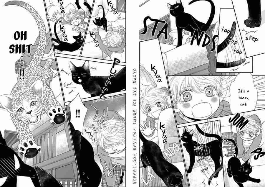 kuroneko kareshi no aishikata, クロネコ彼氏の愛し方, aya sakyo, yaoi, yaoi manga, depepi, depepi.com, review