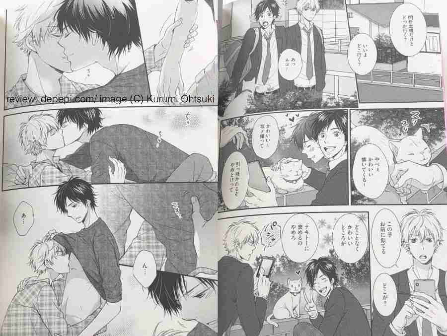 yaoi manga, BL manga, yaoi, manga, BL, onedari hitsuji to koisuru ookami, おねだりヒツジと恋するオオカミ, kurumi ohtsuki, depepi, depepi.com, reviews